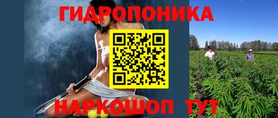 гидра Лесосибирск