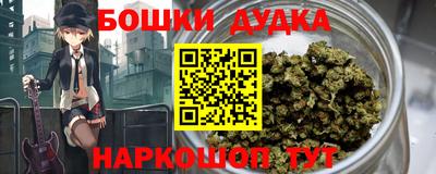 гидра Лесосибирск