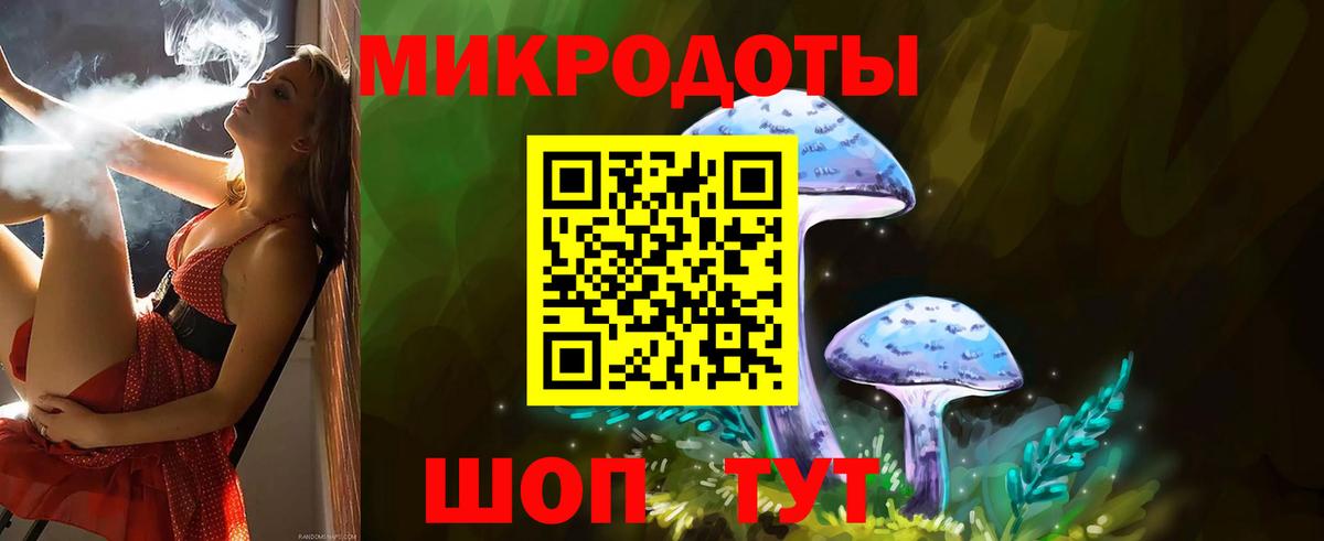 Бузулук  Псилоцибиновые грибы MAGIC MUSHROOMS  Вход с VPN  сколько стоит  Псилоцибиновые грибы мицелий 